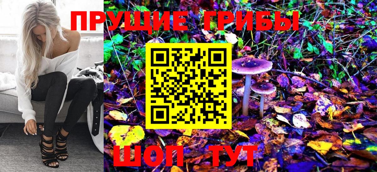 Галлюциногенные грибы Psilocybine cubensis  Вход с VPN  Чехов 